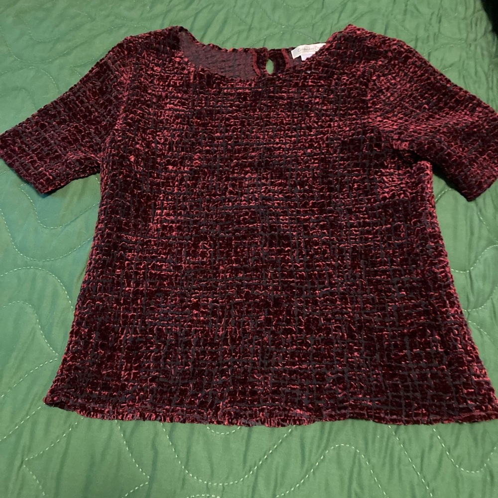 Medium velvet burn-out stretchy top